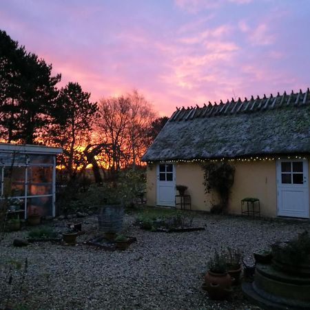 Bella Bed And Breakfast Stevns Arnoje Exterior foto