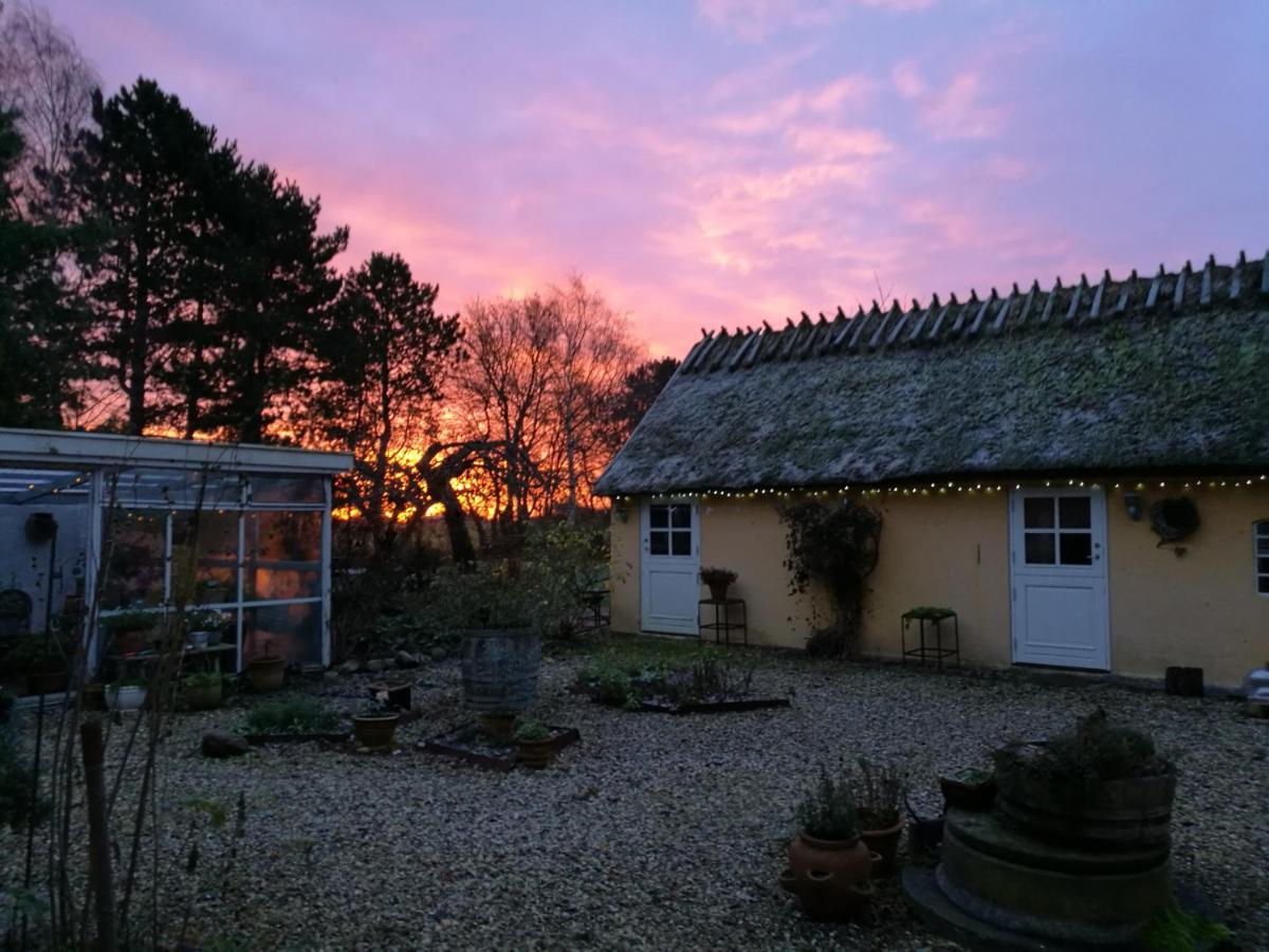 Bella Bed And Breakfast Stevns Arnoje Exterior foto